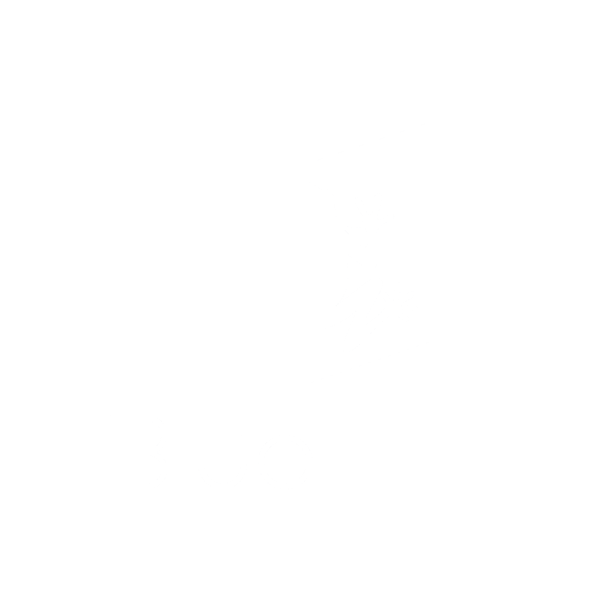Blue Toad sq white2