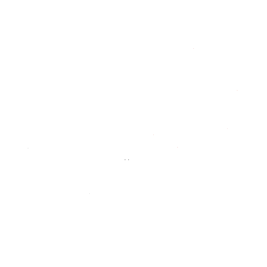 DistriPress-Training-Foundation_sqwh 300 try 2