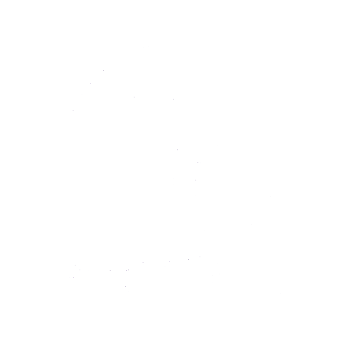 Fractal Spectrum