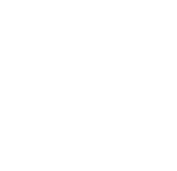 sk copy co 500